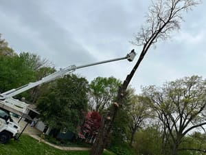 {{ custom_values.service_1 }} in {{custom_values.area_7})