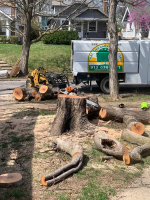 {{ custom_values.service_2 }} in {{custom_values.area_6})