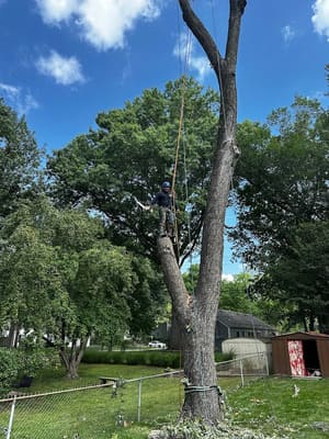 {{ custom_values.service_4 }} in {{custom_values.area_2})