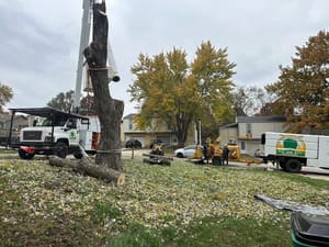 {{ custom_values.service_2 }} in {{custom_values.area_7})