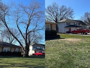 {{ custom_values.service_3 }} in {{custom_values.area_7})