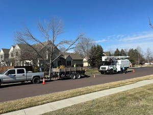 {{ custom_values.service_4 }} in {{custom_values.area_7})