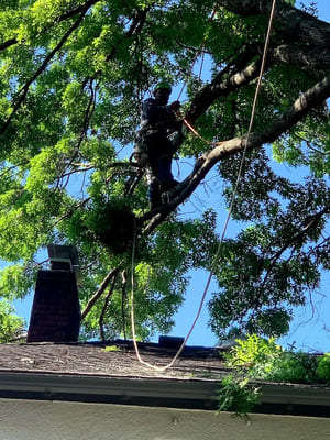 in Jackson County, KS