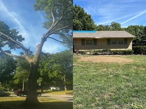 {{ custom_values.service_2 }} in {{custom_values.area_7})