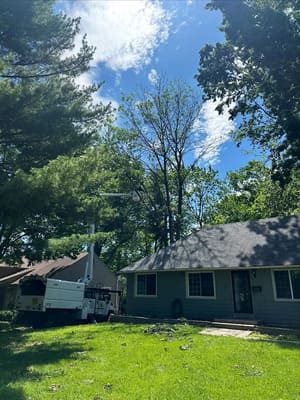 {{ custom_values.service_4 }} in {{custom_values.area_3})