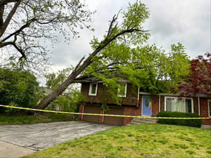 {{ custom_values.service_2 }} in {{custom_values.area_7})