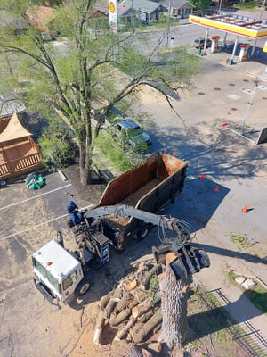 {{ custom_values.service_2 }} in {{custom_values.area_4})