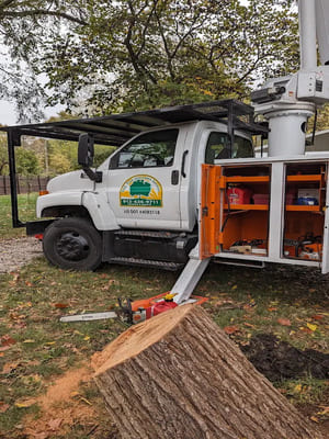 {{ custom_values.service_2 }} in {{custom_values.area_3})