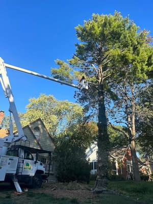 {{ custom_values.service_3 }} in {{custom_values.area_1})