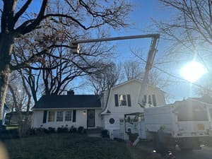 {{ custom_values.service_3 }} in {{custom_values.area_7})