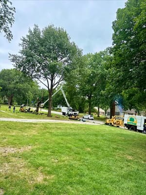 {{ custom_values.service_2 }} in {{custom_values.area_1})