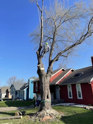 {{ custom_values.service_4 }} in {{custom_values.area_1})