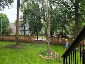 {{ custom_values.service_1 }} in {{custom_values.area_7})