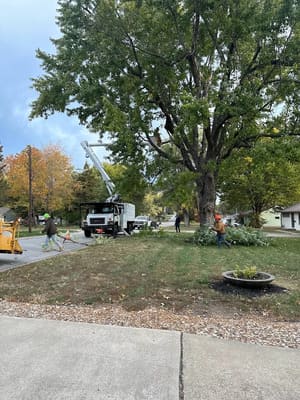 {{ custom_values.service_4 }} in {{custom_values.area_5})