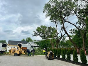 {{ custom_values.service_3 }} in {{custom_values.area_7})