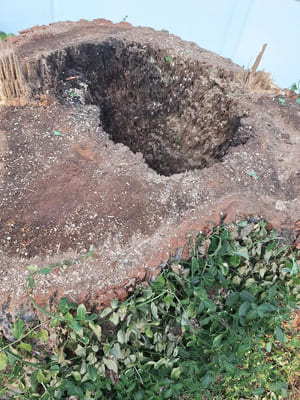 {{ custom_values.service_3 }} in {{custom_values.area_6})