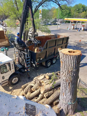 {{ custom_values.service_3 }} in {{custom_values.area_4})