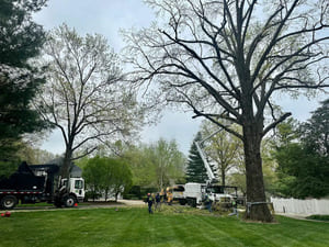 {{ custom_values.service_4 }} in {{custom_values.area_7})