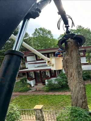 {{ custom_values.service_1 }} in {{custom_values.area_2})