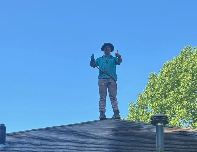 Roof washing service