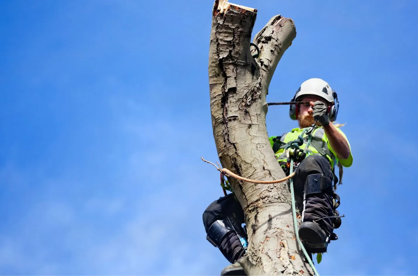 Website voor boomverzorging – gemaakt door Automation Plan