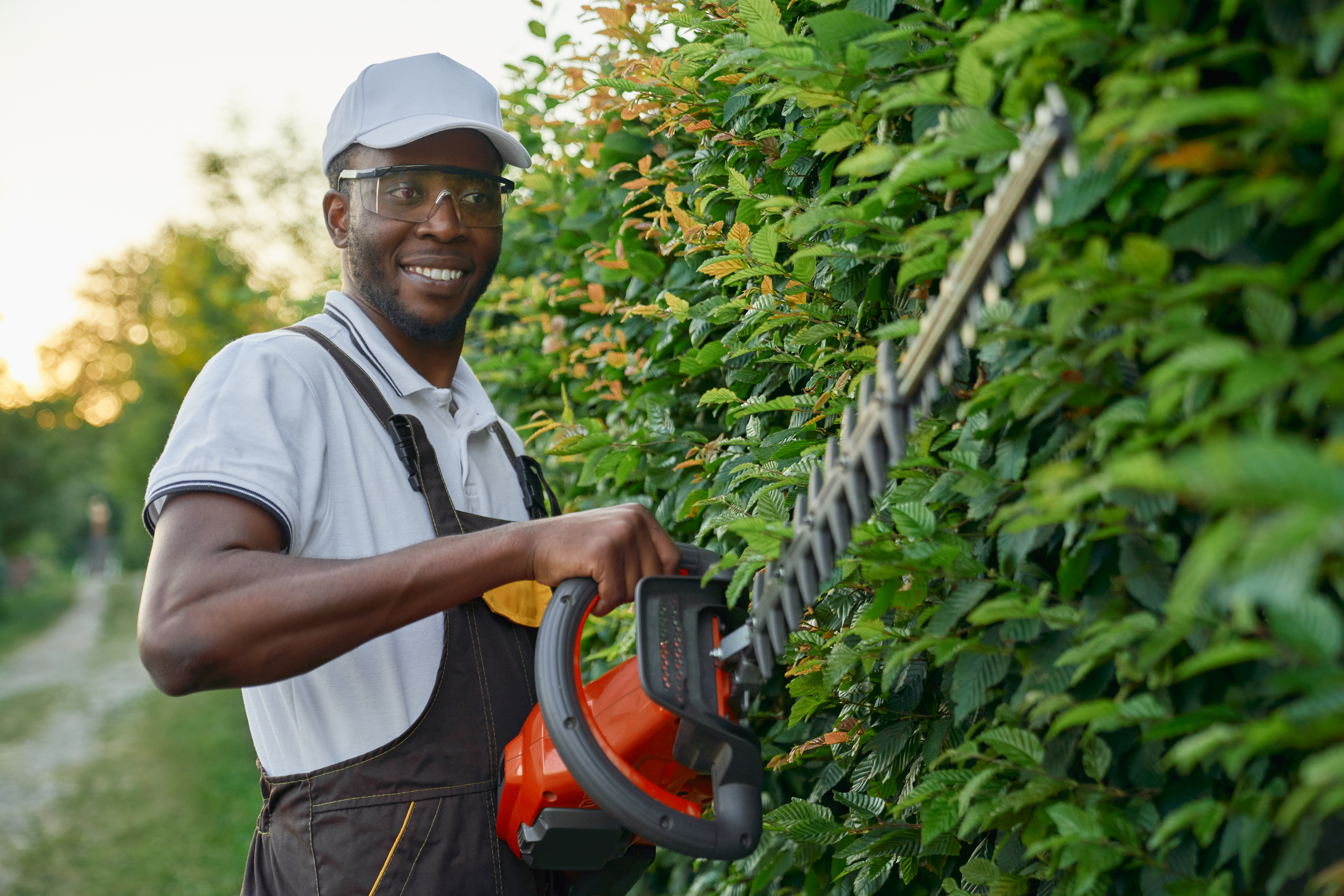 Hovenier snoeit haag met elektrische heggenschaar – Automation-Plan voor tuinbedrijven
