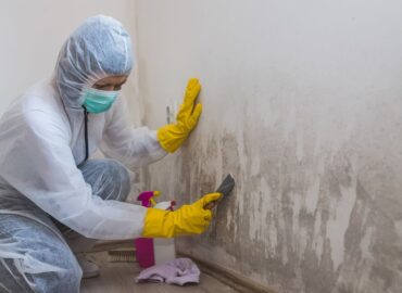 Home Mold Wipe Down