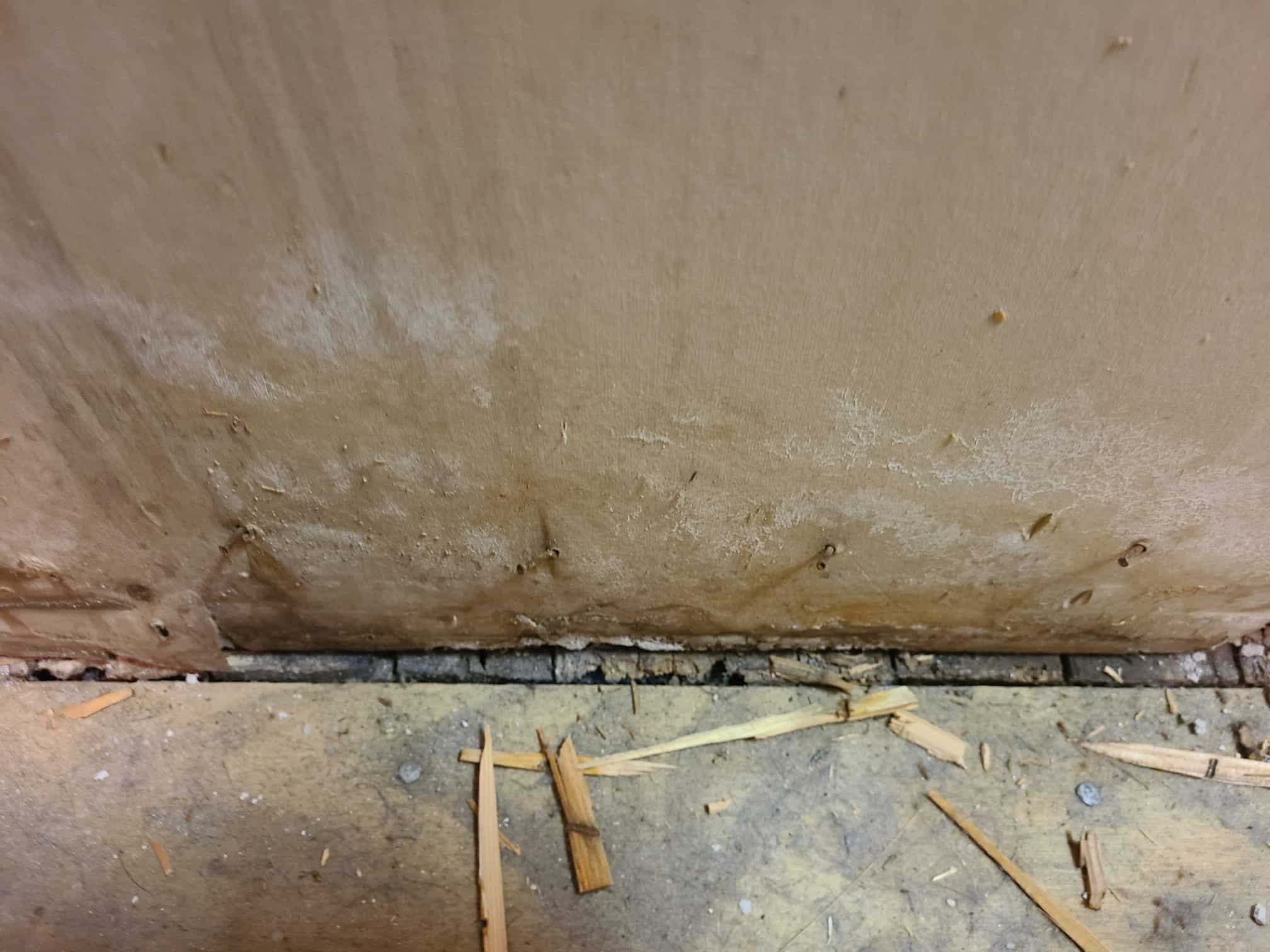 mold behind walls