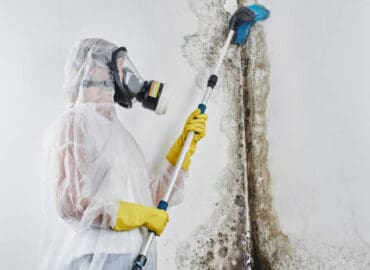 cleaning up mold