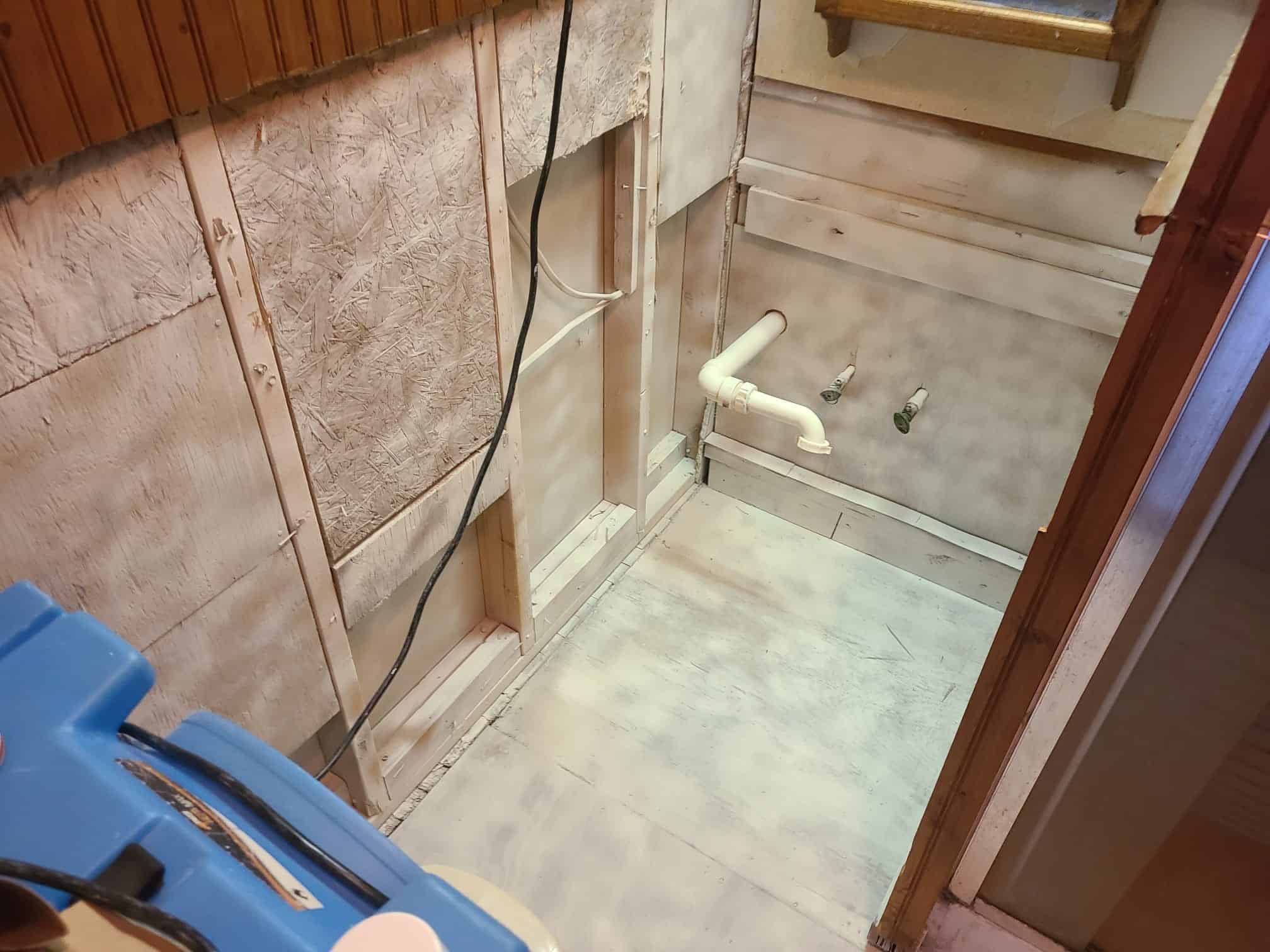 mold mitigation