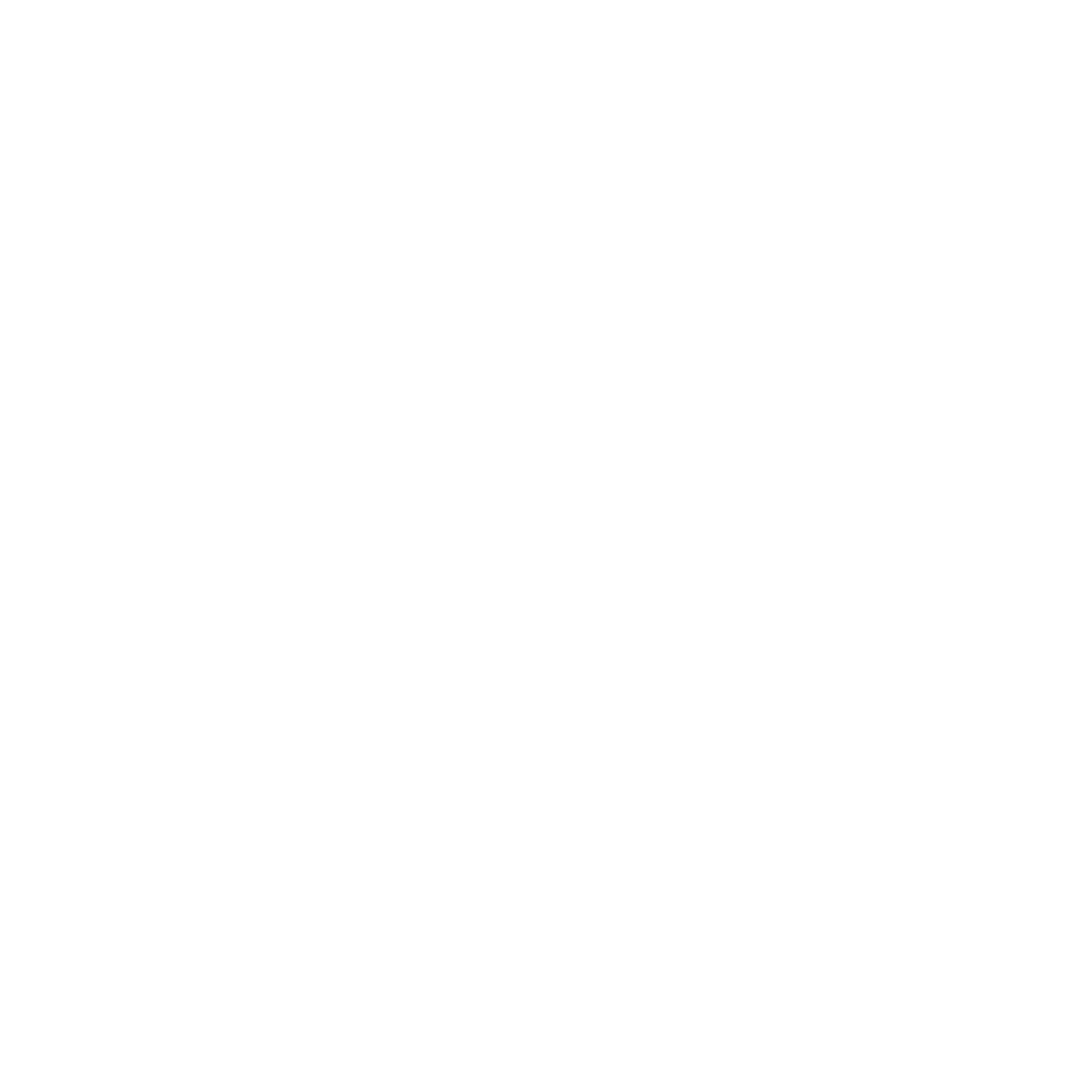 BDMW Logo