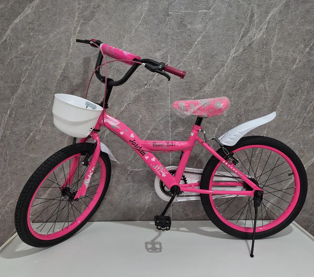 BICICLETA JORDAN RODADO 20