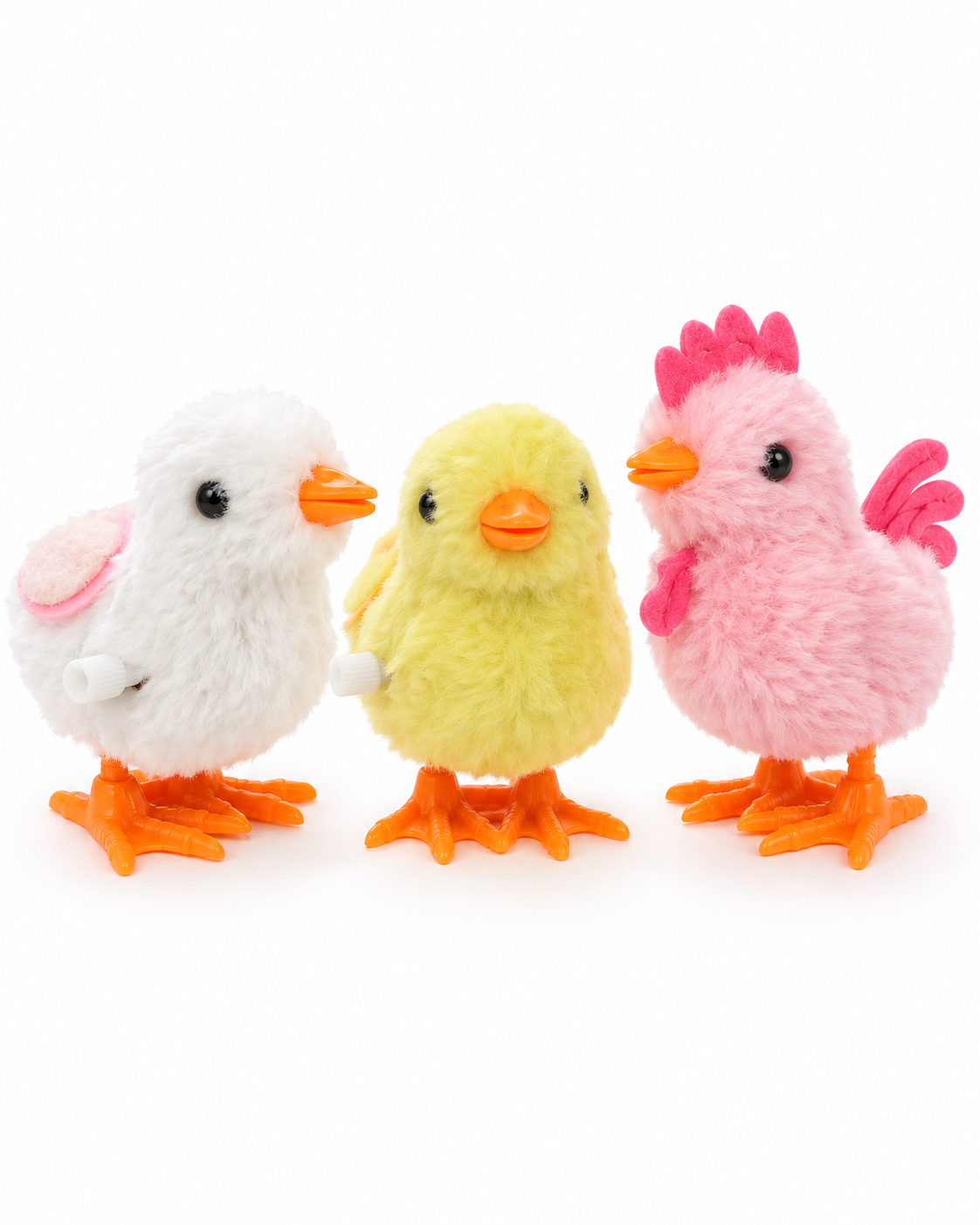 pollito