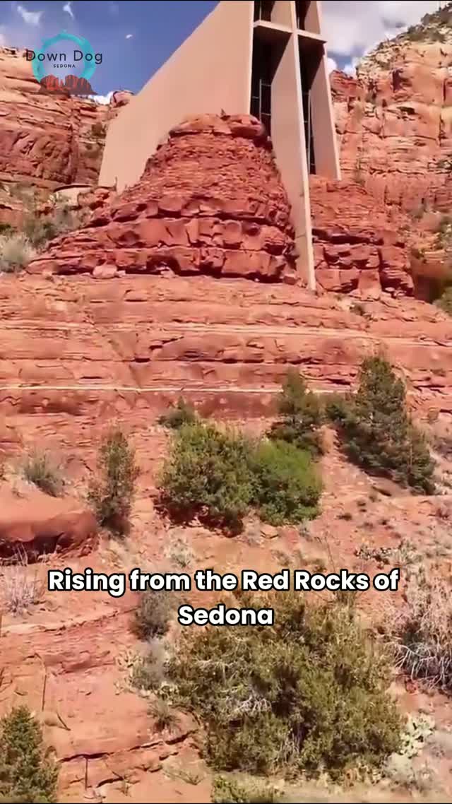 Down Dogs Sedona — yoga brand video
