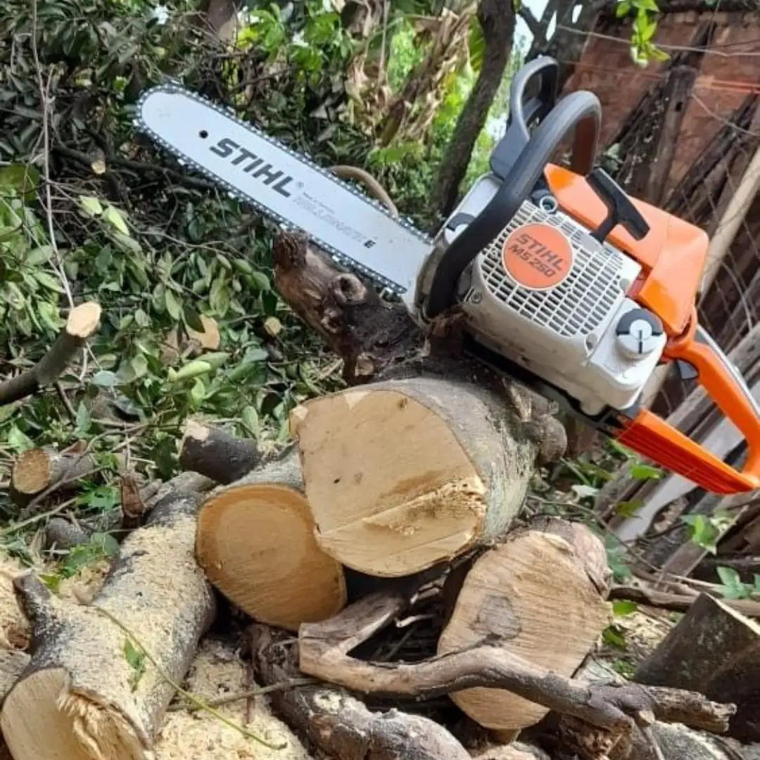 Tree felling by Mis-tic Landscaping in Cape Town, photo 1