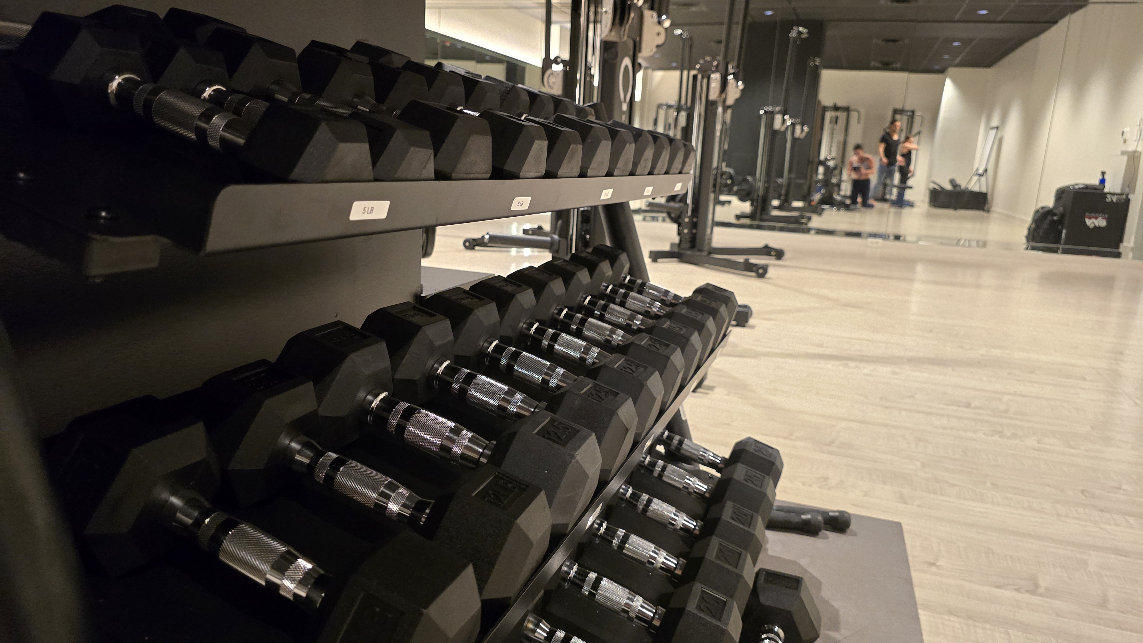 Inside the Kinetic Blueprint training studio — equipment and free weights