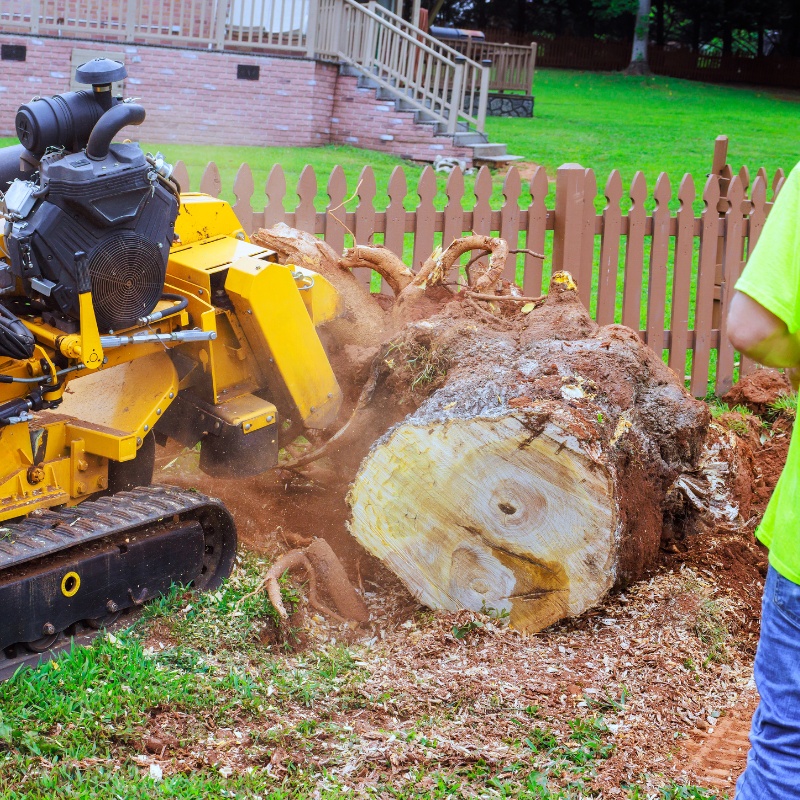 Mayo and Sons Landscaping and Trees LLC — Martinsville, IN