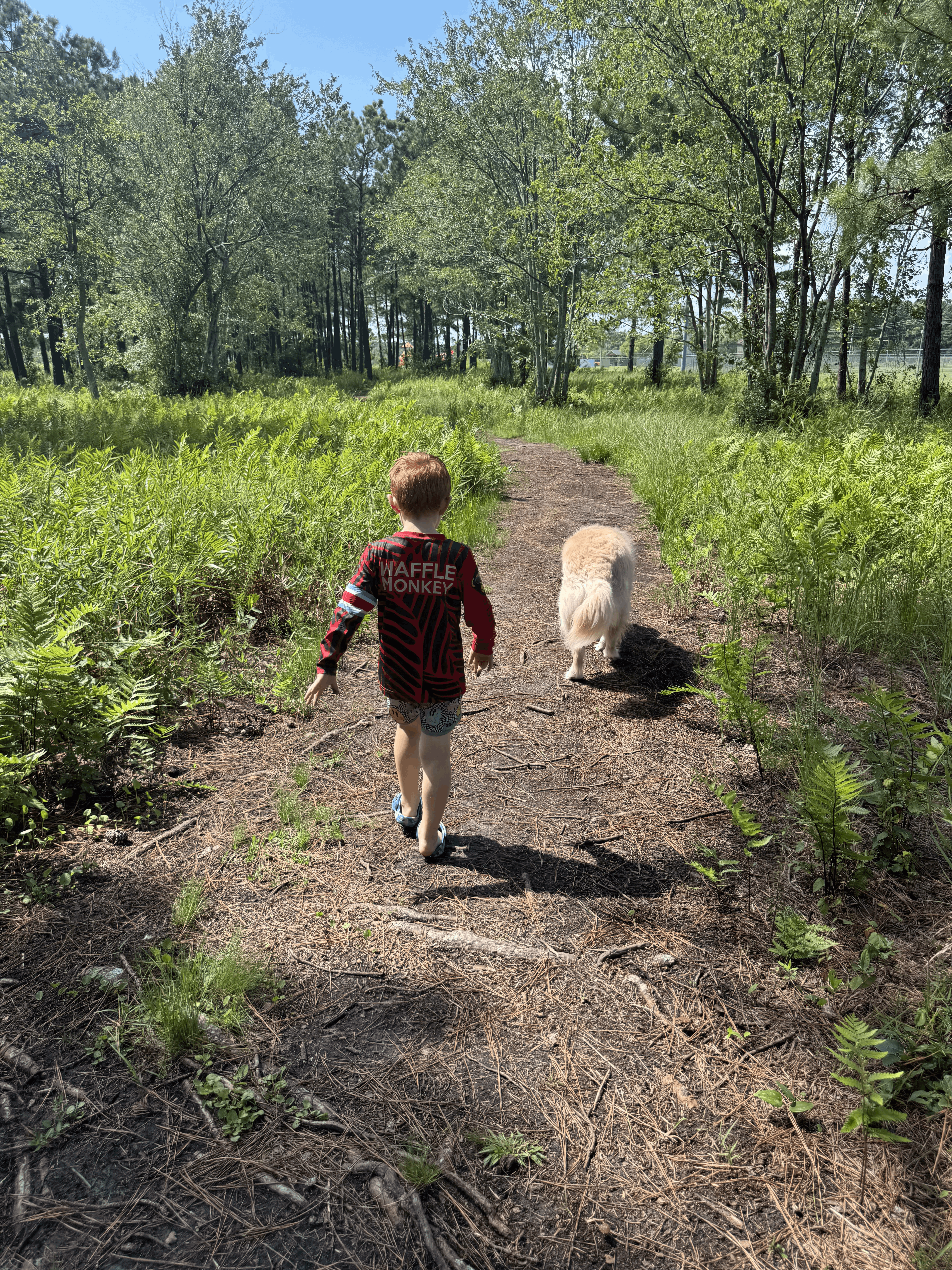 Children balancing academics, movement, and creative play outdoors