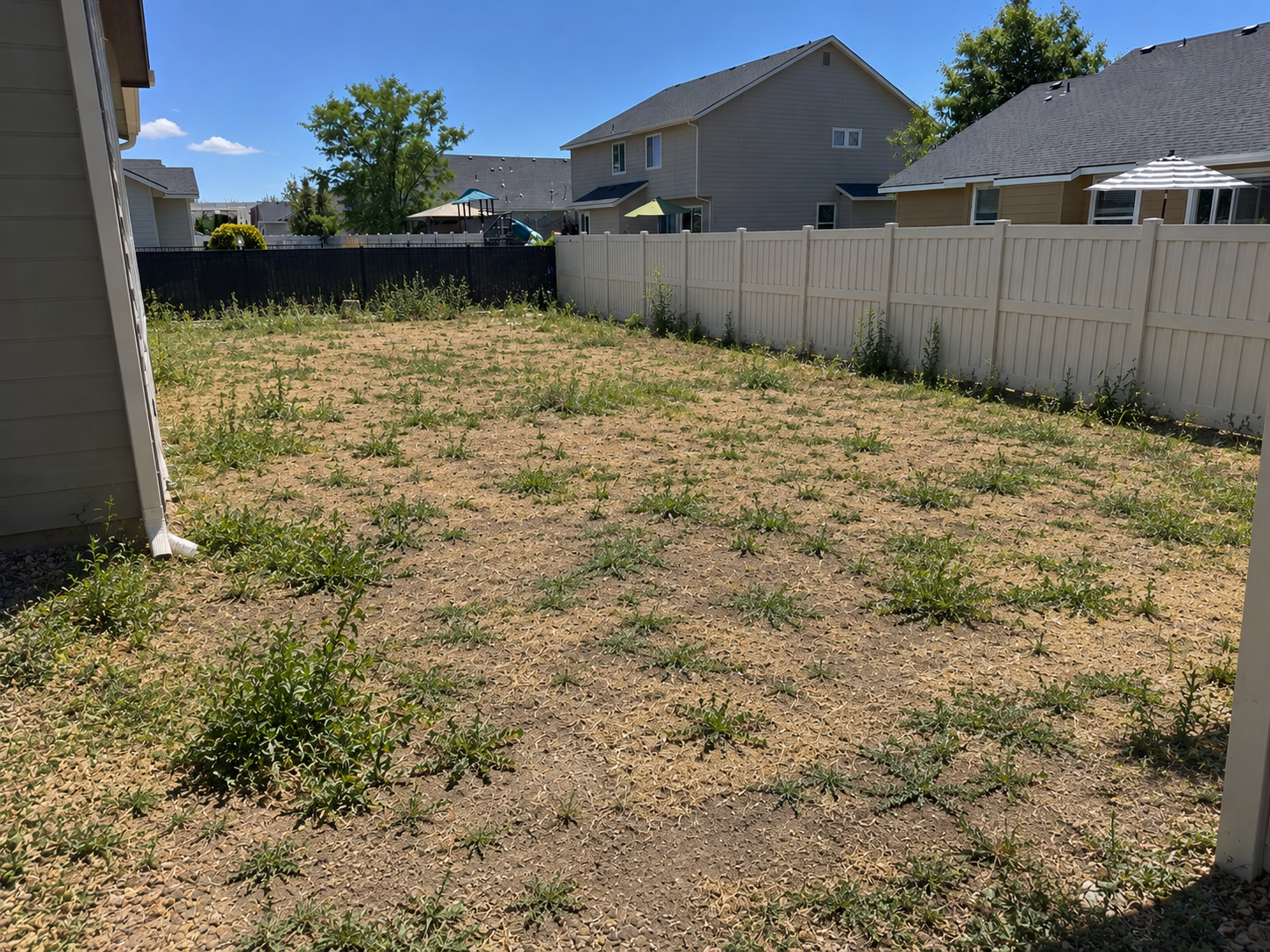 Weed Lot to Patio and Lawn before work began