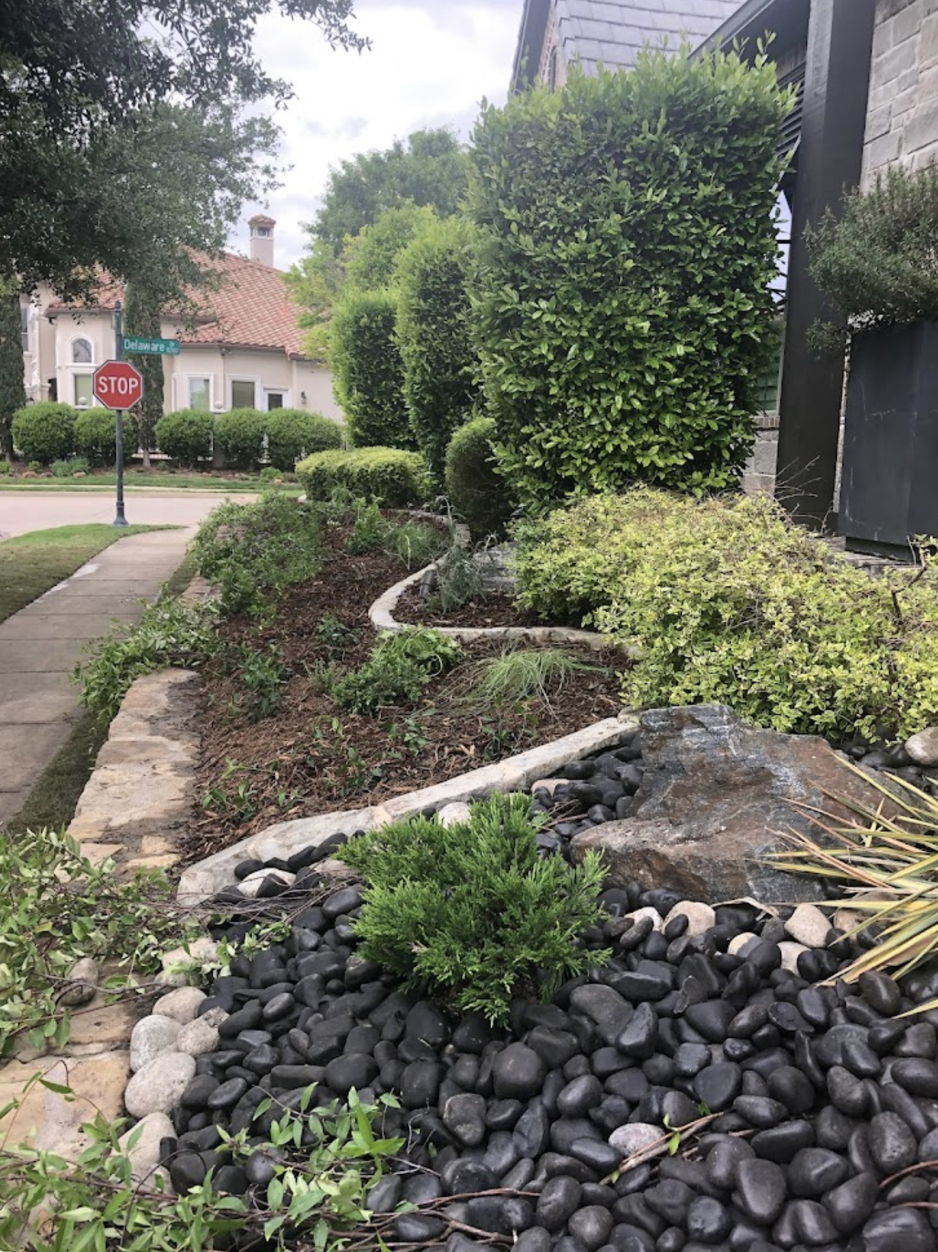 Before: tired Plano backyard
