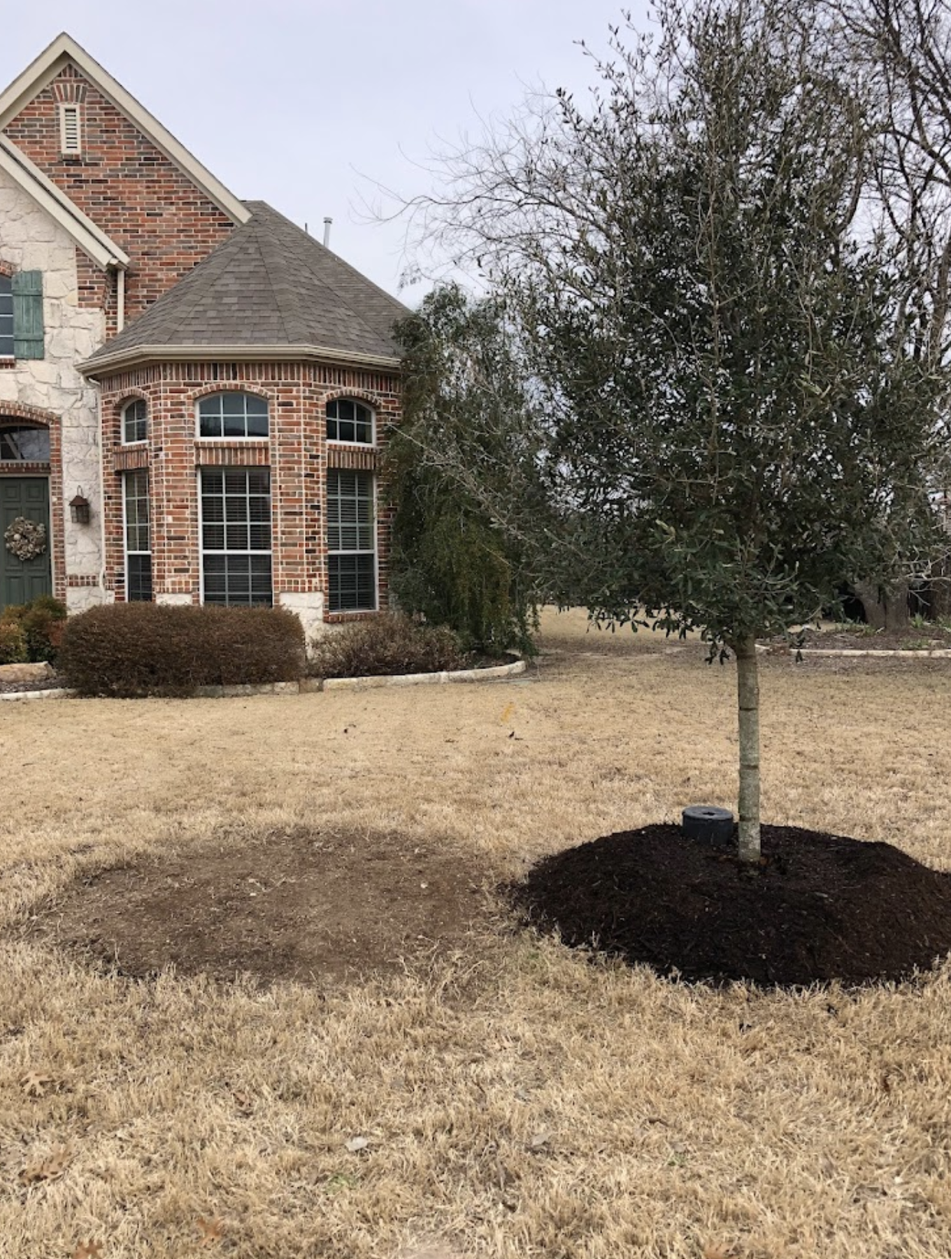 After: renovated Plano backyard