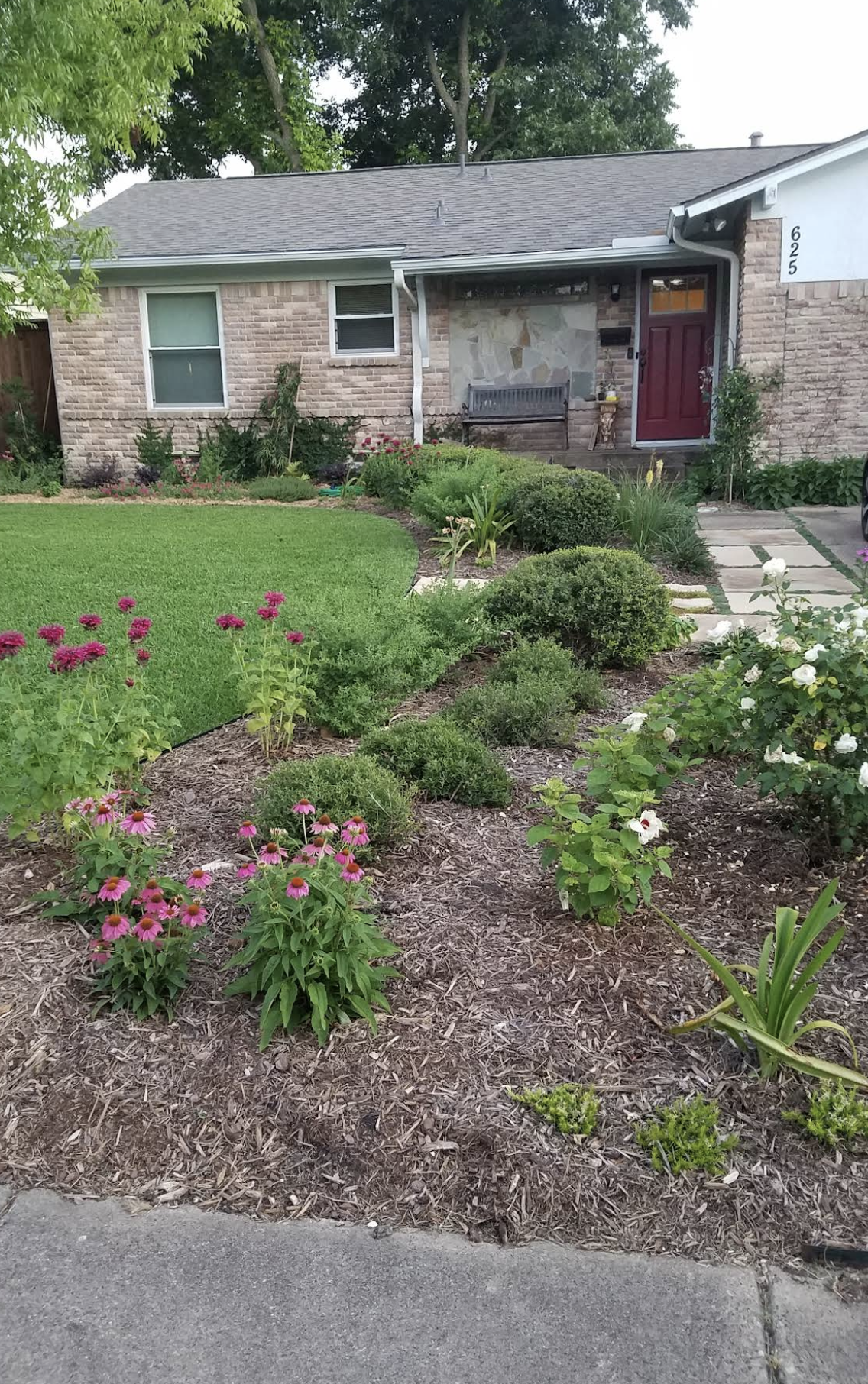 Frisco Front Yard Redesign photo 2