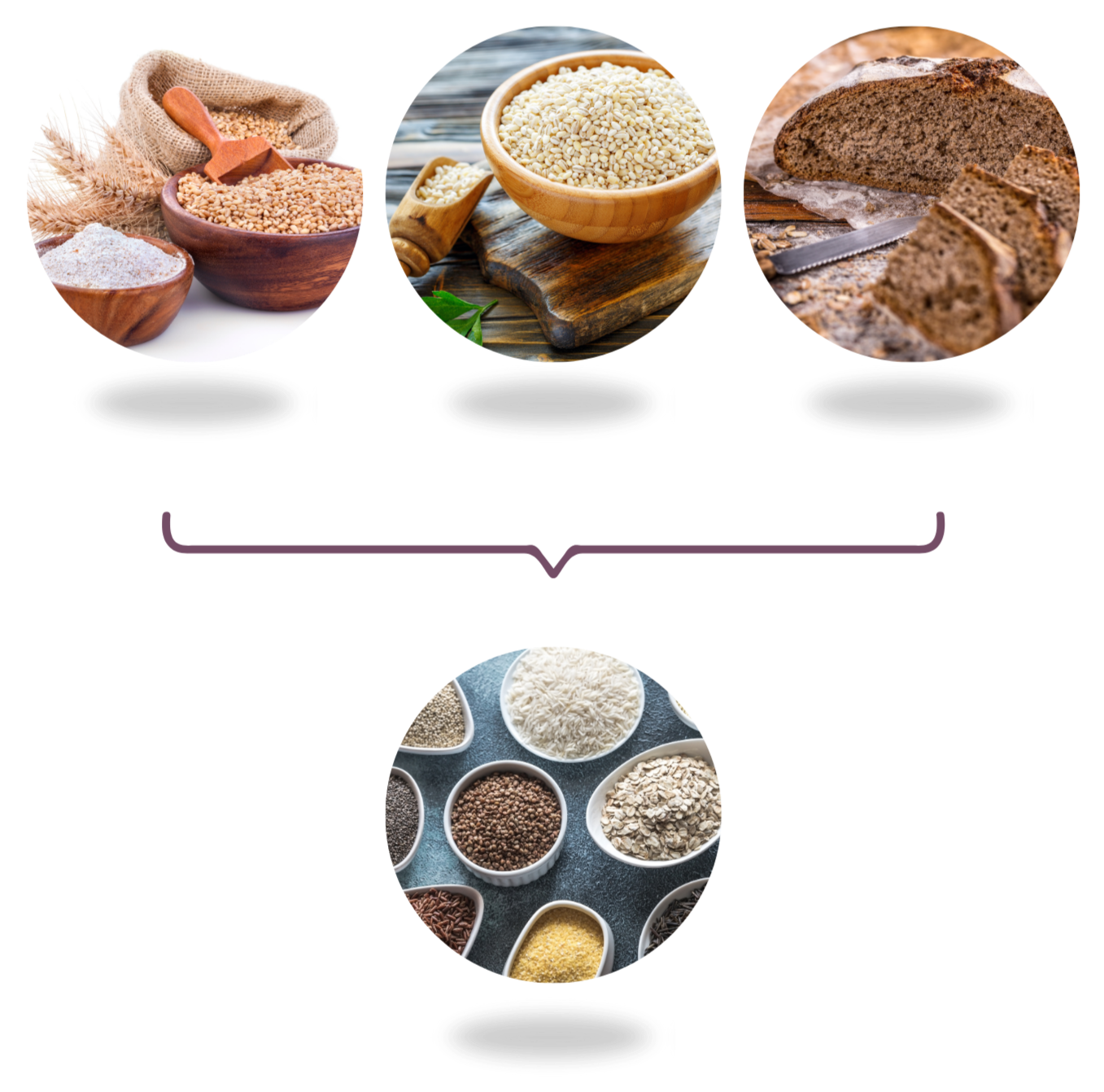  Gluten-Containing Grains