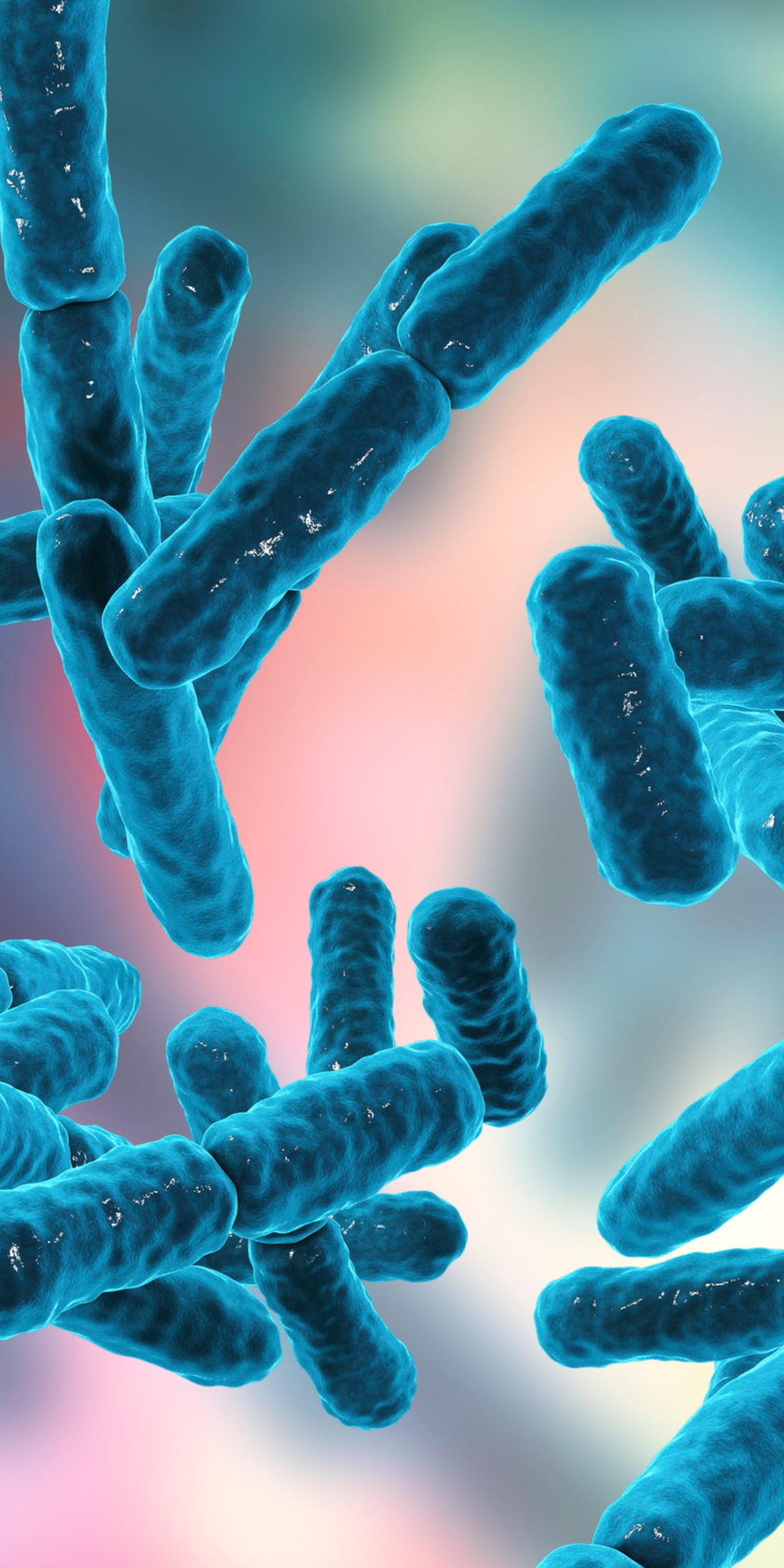 Top Probiotic Strains for Gut Health