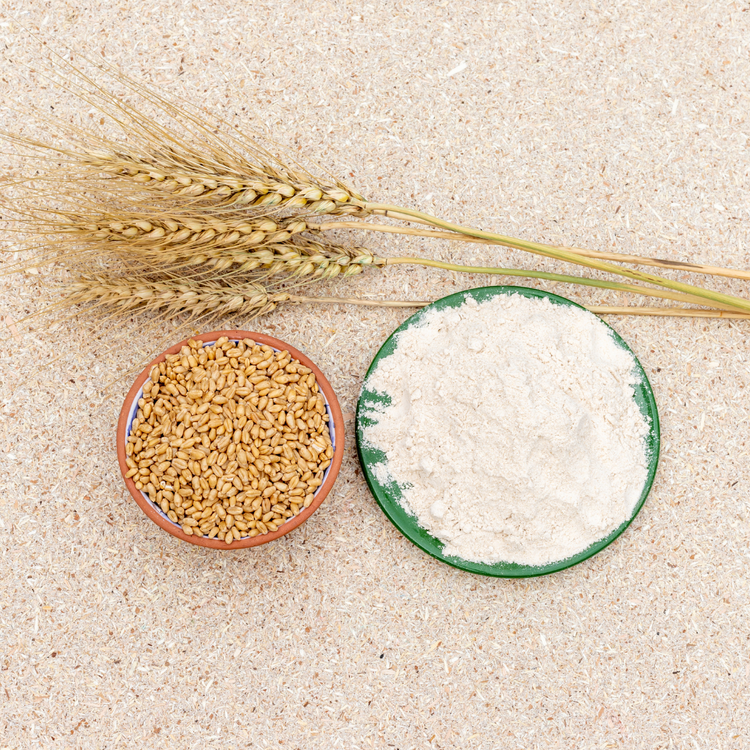 Gluten and Dairy Free Diet