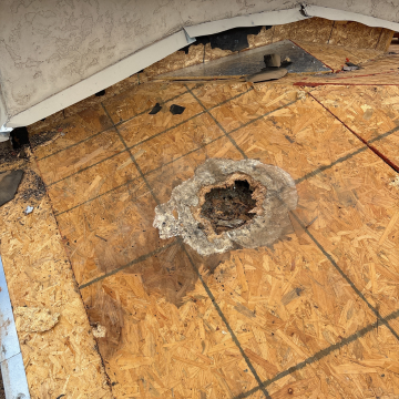 Close-up of rotting wood and water damage on OSB roof decking during a roof repair inspection in Chandler, Arizona.
