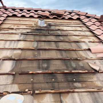 A roofing contractor Apache Junction AZ inspects water damage and deteriorated underlayment beneath removed clay tiles.