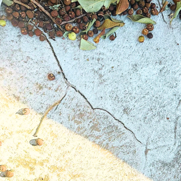 Close-up of a damaged surface needing attention from a residential roofing company mesa az.
