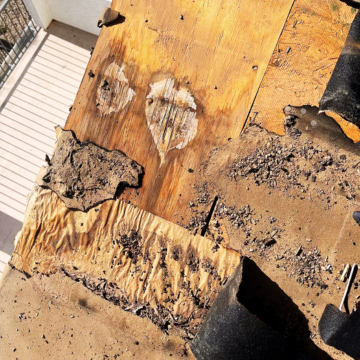 Water-damaged plywood decking requiring residential roof repair Gilbert services to fix leaks.