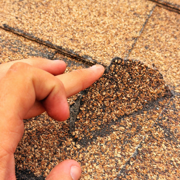 Close-up of hand inspecting damaged, peeling asphalt roof shingle during a free roof inspection chandler az.
